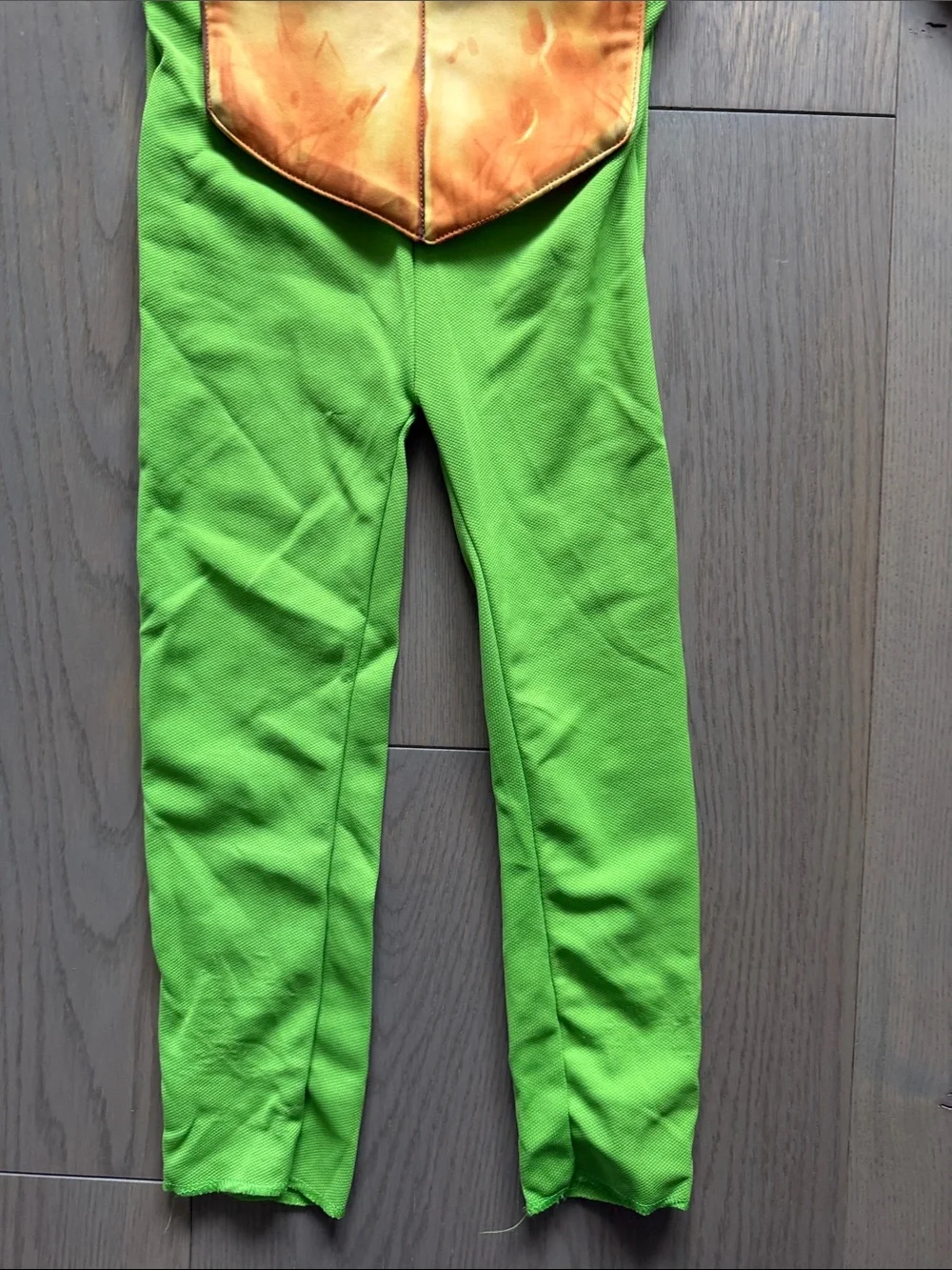 Teenage Mutant Ninja Turtles Leo Green Kids Costume